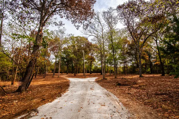 6437 Reynolds Rd, Columbia, TN 38401