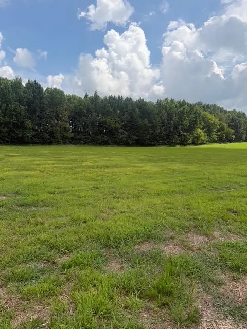 0 Friendhip Road, Cross Plains, TN 37049 - #2