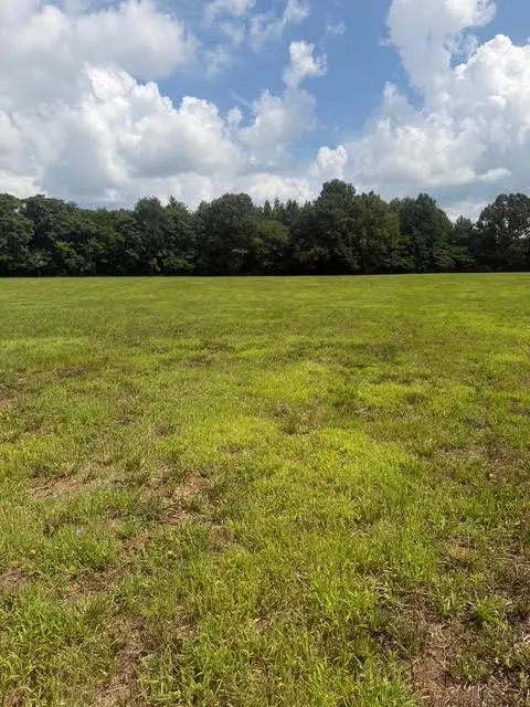 3 Friendship Road, Cross Plains, TN 37049 - #3
