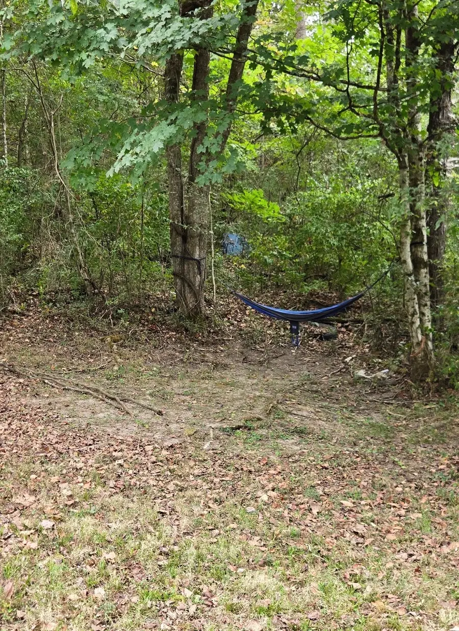1048 Ross Hollow Rd, Ashland City, TN 37015 - #3