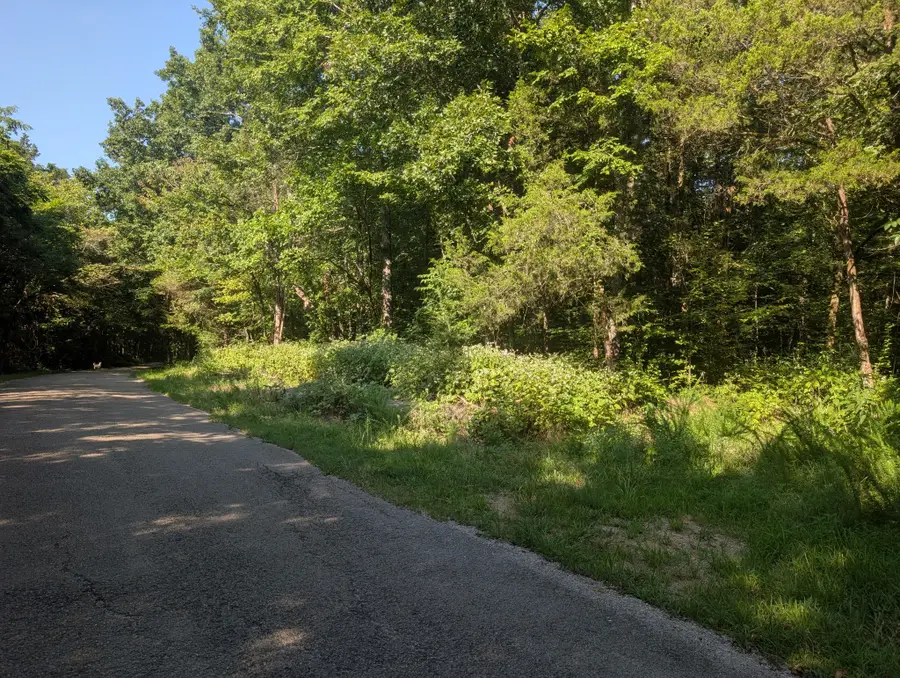 1256 Spence Ln, Lewisburg, TN 37091 - #3