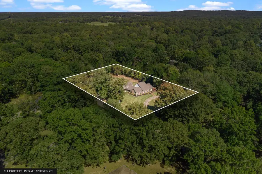 1132 Deerwood Dr, New Johnsonville, TN 37134 - #2