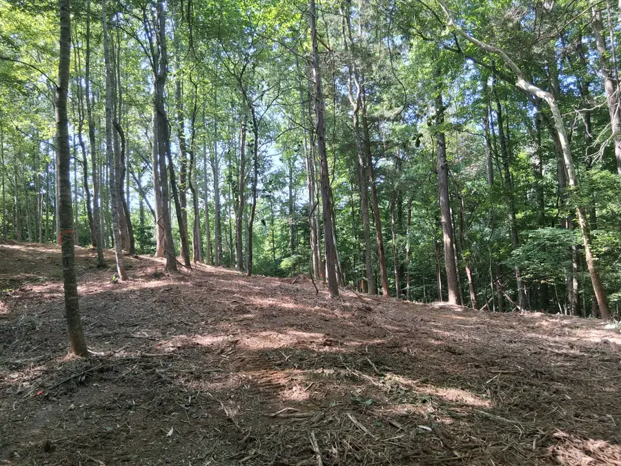 746 October Drive, Smithville, TN 37166 - #2