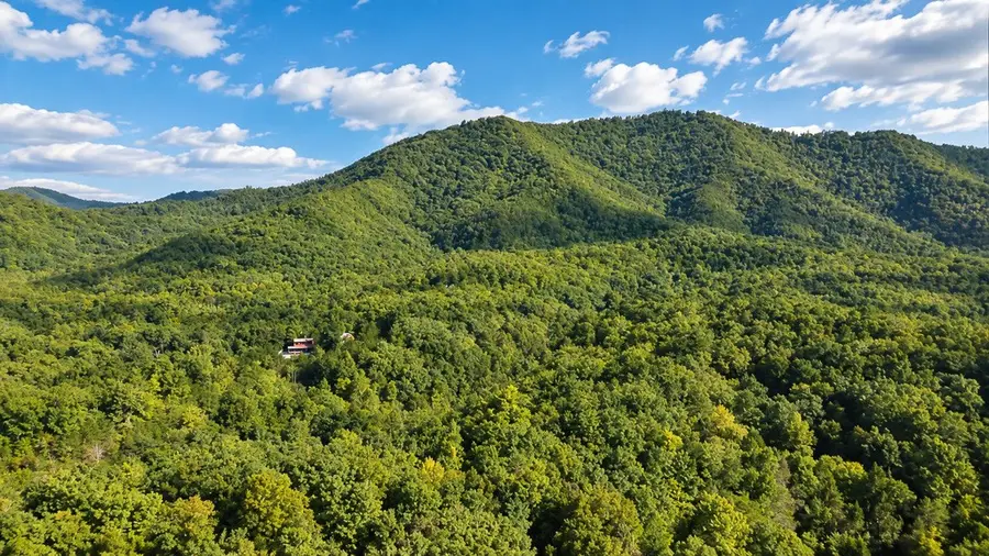4417 Wilhite Rd, Cosby, TN 37722 - #2