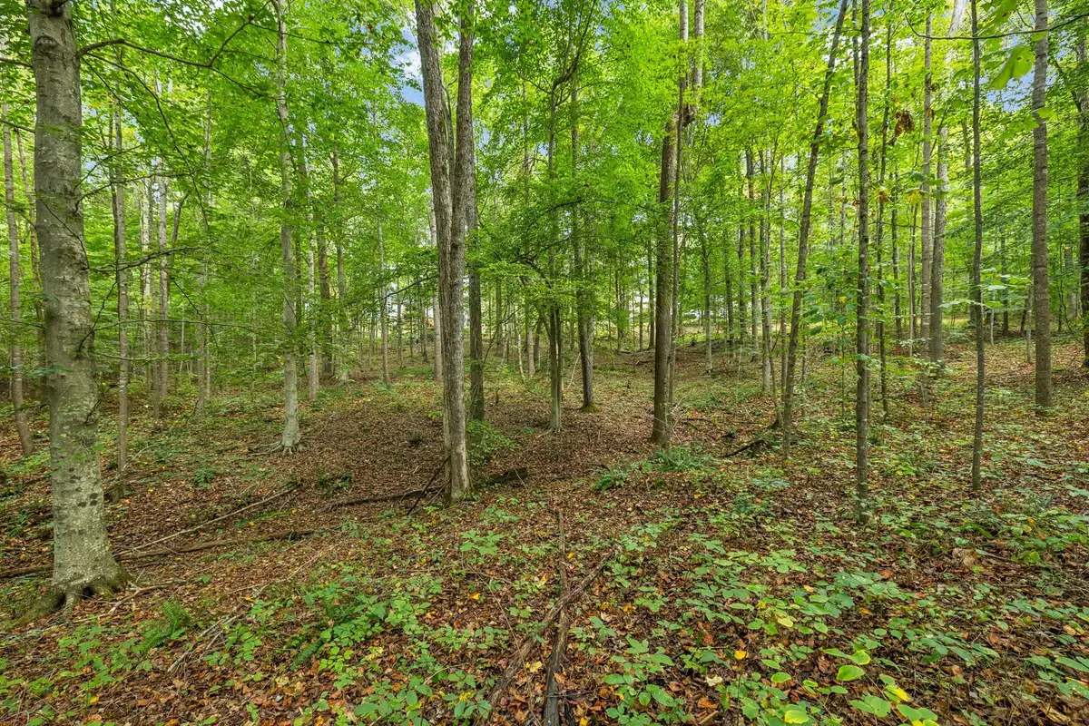 0 Tidwell Swtich Road, Bon Aqua, TN 37025 - #1