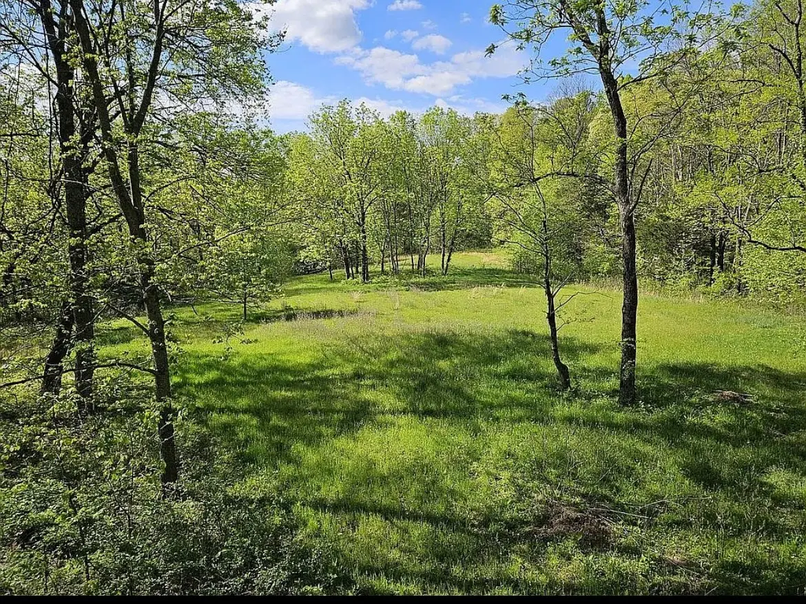 1332 Rock Bridge Rd, Bethpage, TN 37022 - #1