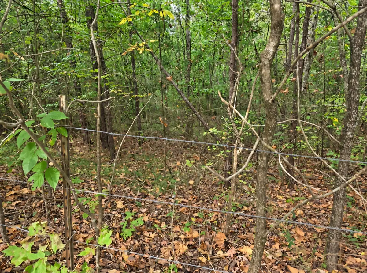 0 Old Pinhook Rd, Smithville, TN 37166 - #1