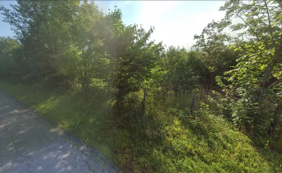 855 Bill Jones Rd, Afton, TN 37616 - #2