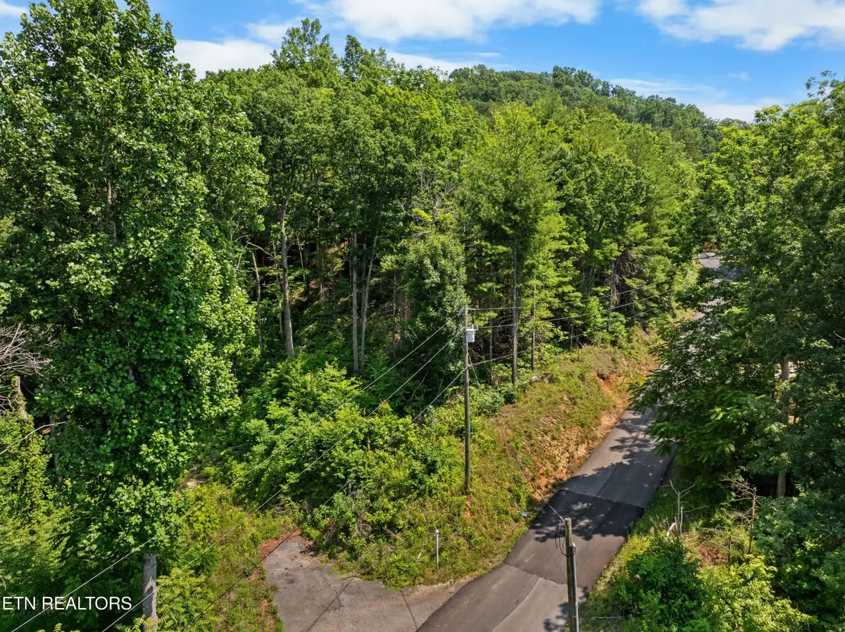 3276 Emerald Springs Loop, Sevierville, TN 37862 - #1