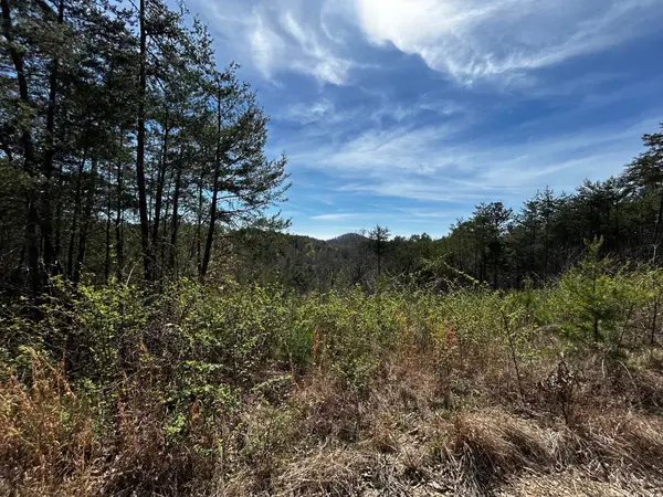 2 Owl Hollow Road Sw, Mc Donald, TN 37353
