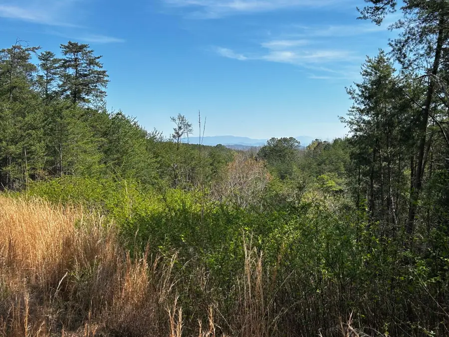 2 Owl Hollow Road Sw, McDonald, TN 37353 - #3