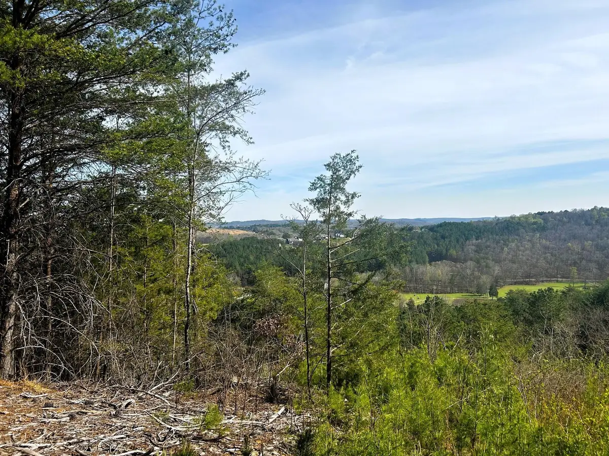 6 Owl Hollow Road Sw, McDonald, TN 37353 - #1