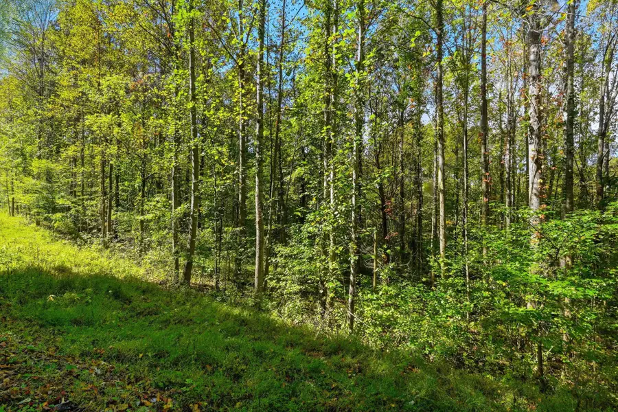 0 Timber Lake Drive, Cosby, TN 37722 - #3