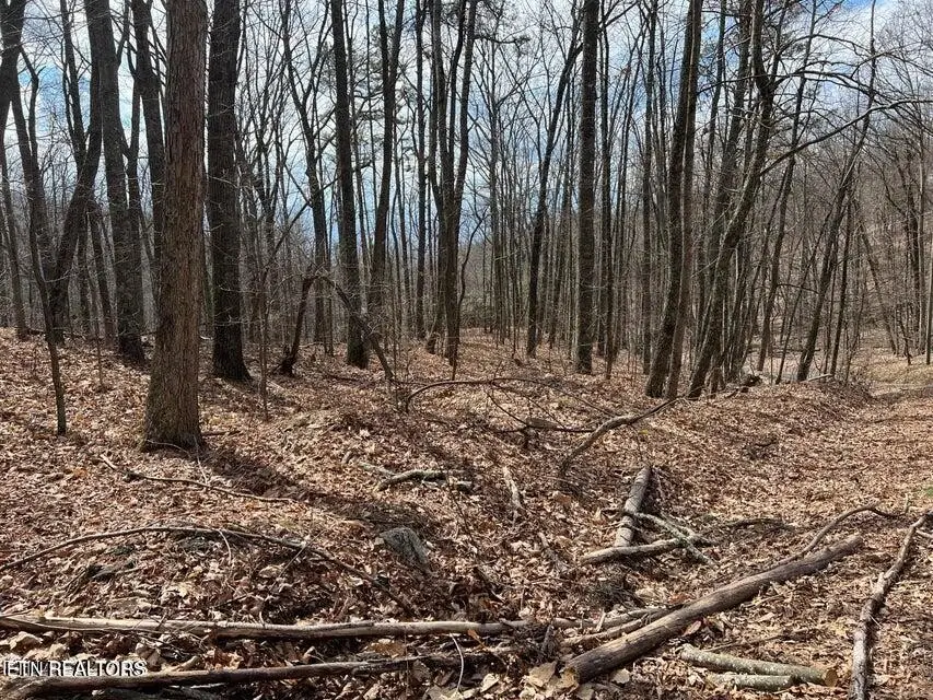 0 Swann Saddle, Sevierville, TN 37876 - #3