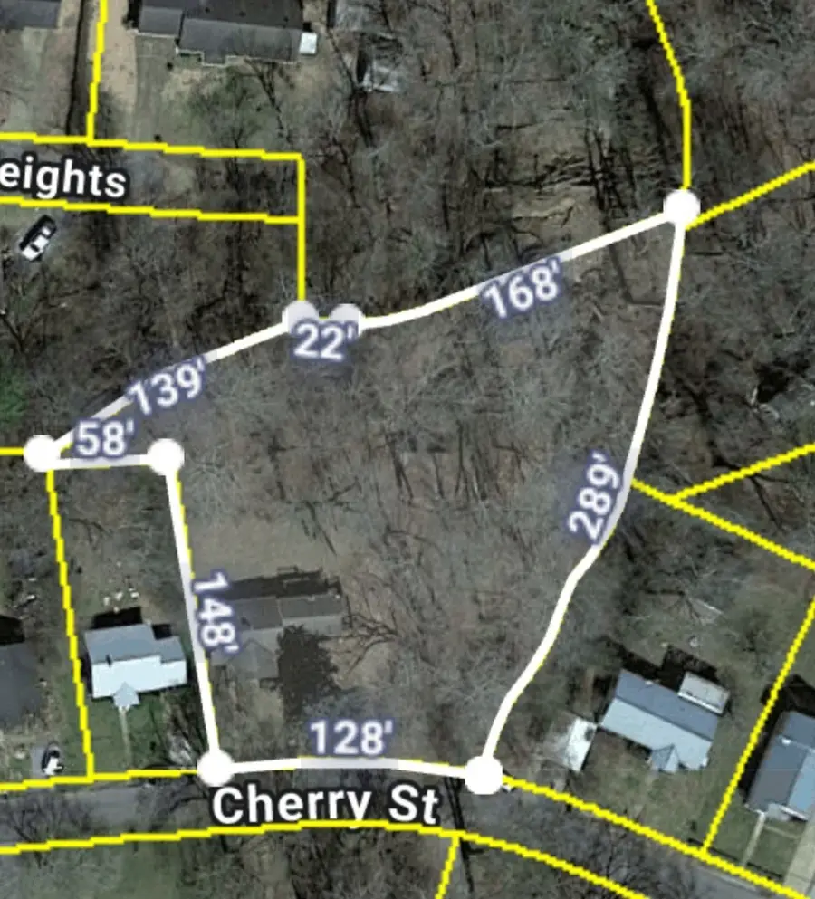 110 Cherry St, Centerville, TN 37033 - #3