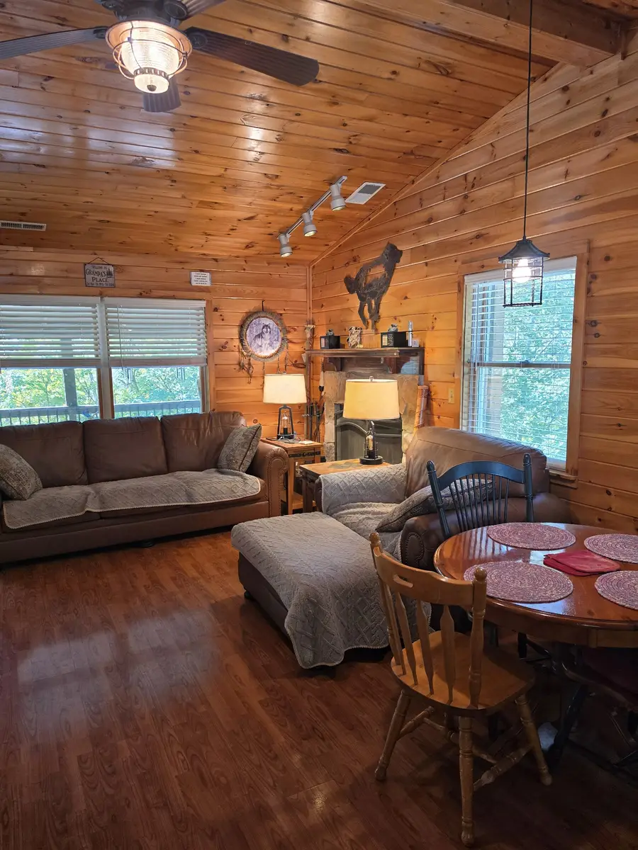 5319 Old Smoky High Top Rd, Cosby, TN 37722 - #3