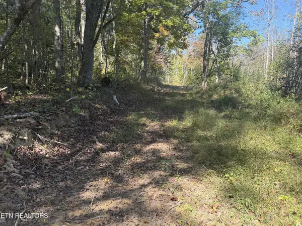2697 Mt Helen Rd, Allardt, TN 38504