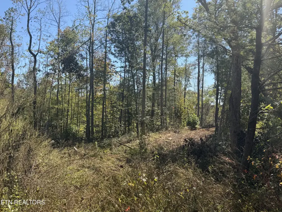 2697 Mt Helen Rd, Allardt, TN 38504 - #3