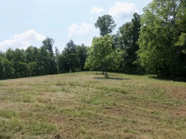 0 Mate Allen Rd, Gainesboro, TN 38562 - #1