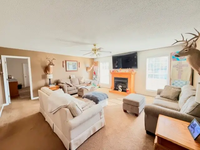 4058 Payne Cove Rd, Pelham, TN 37366 - #3
