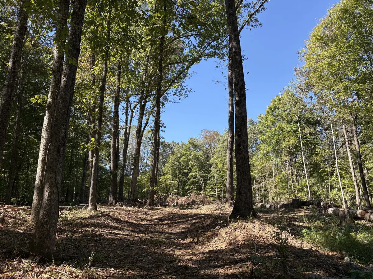606 Town Branch Rd, Charlotte, TN 37036 - #1
