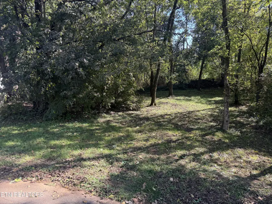 7010 Anderson Lane, Knoxville, TN 37918 - #3