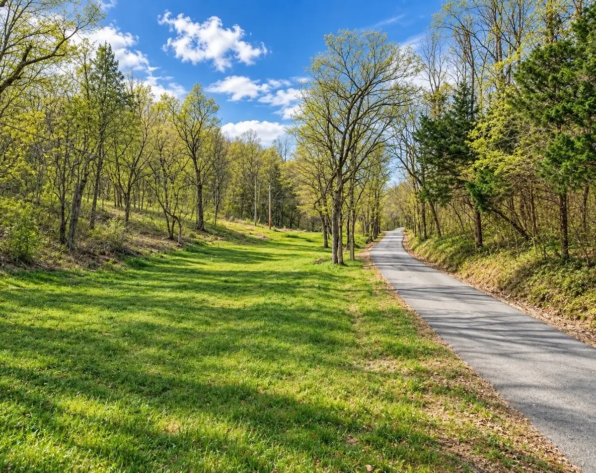 7 Goosebranch Rd, Lynchburg, TN 37352 - #1
