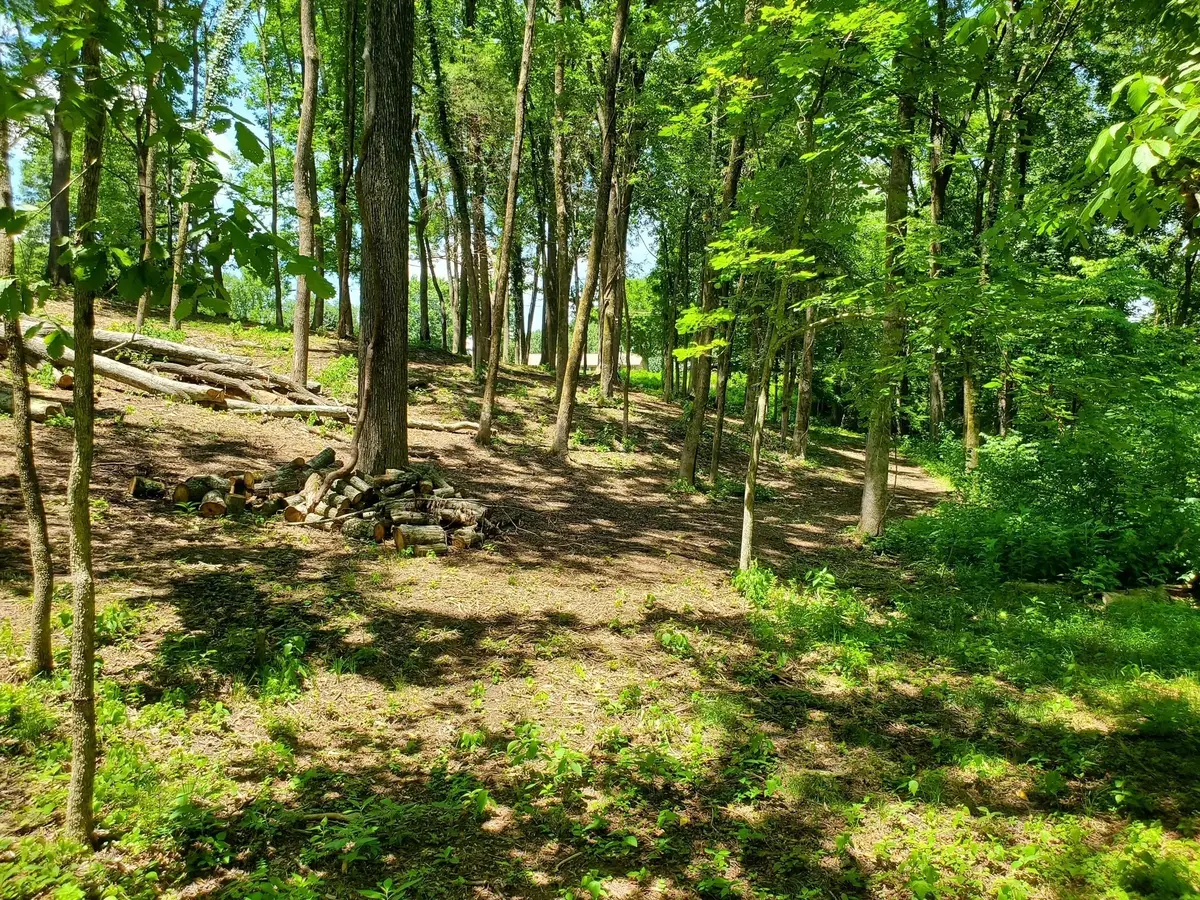 1930 Arlington Rd, Lebanon, TN 37087 - #1
