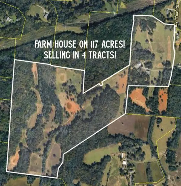 6770 Bly Trice Rd, College Grove, TN 37046