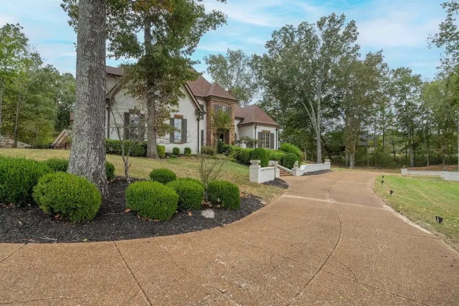 224 S Monterey Farms Cv, Collierville, TN 38017 - #3