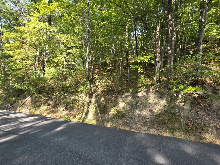 0 Hatcher Top Rd, Sevierville, TN 37862 - #3