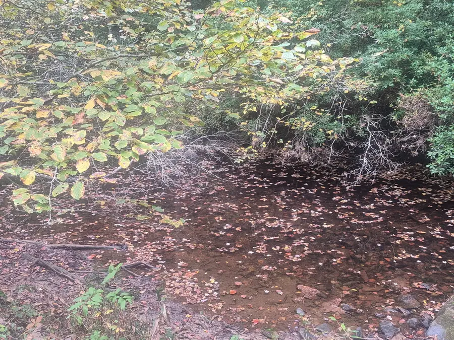 0 Freedom Ridge Ln, Crossville, TN 38572 - #3