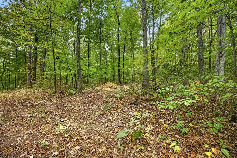 0 Colepin Lane, Celina, TN 38551 - #2