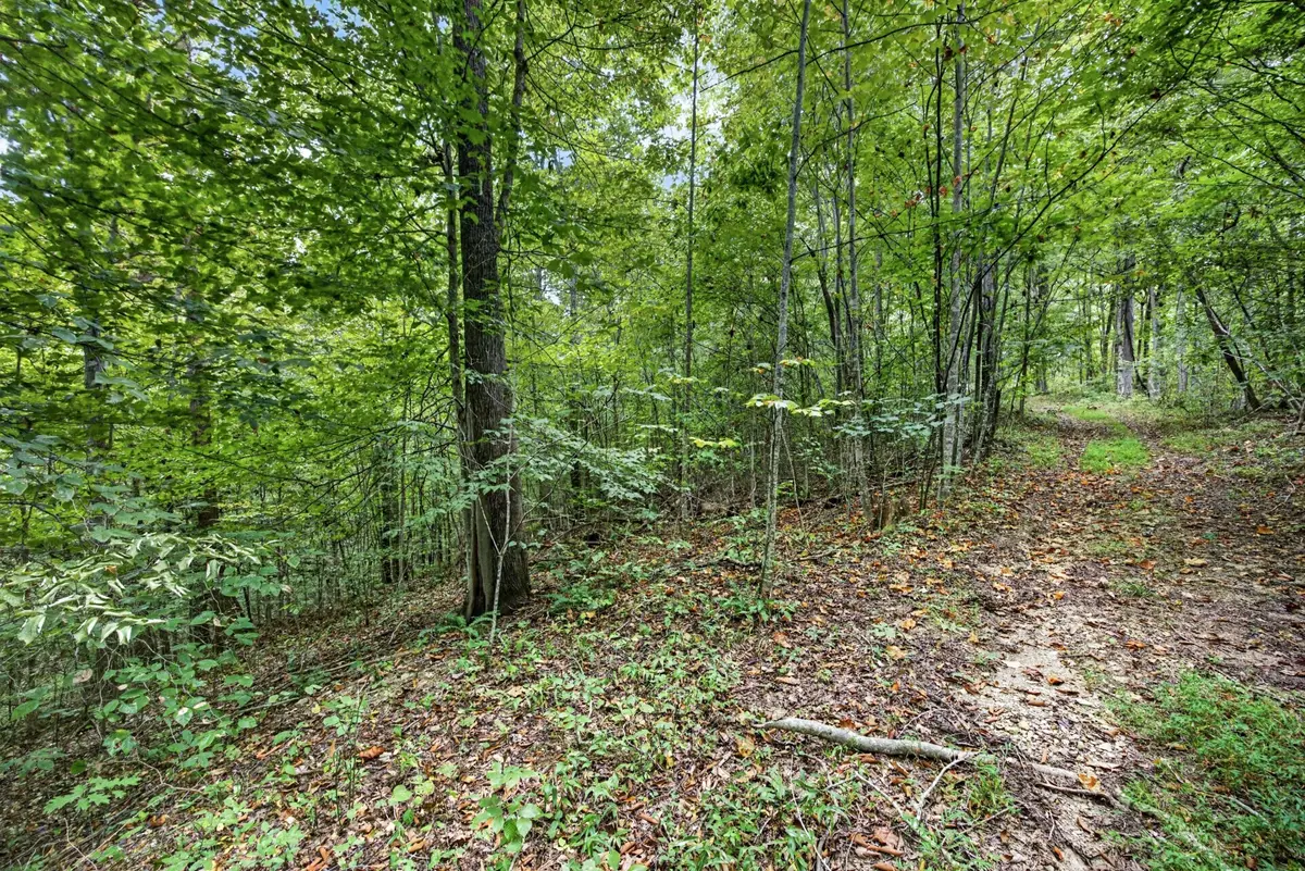 0 Timber Ridge Lane, Celina, TN 38551 - #1