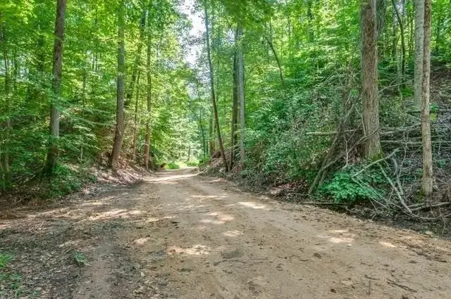 0 Baptist Branch Rd, Mount Pleasant, TN 38474 - #2