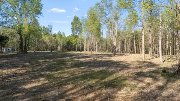 4 Rippy Ridge Rd, Normandy, TN 37360