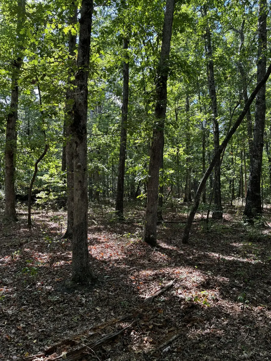 0 Deepwoods Rd, Sewanee, TN 37375 - #3