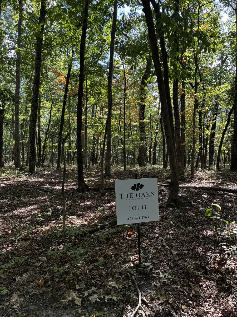 0 Deepwoods Rd, Sewanee, TN 37375 - #2