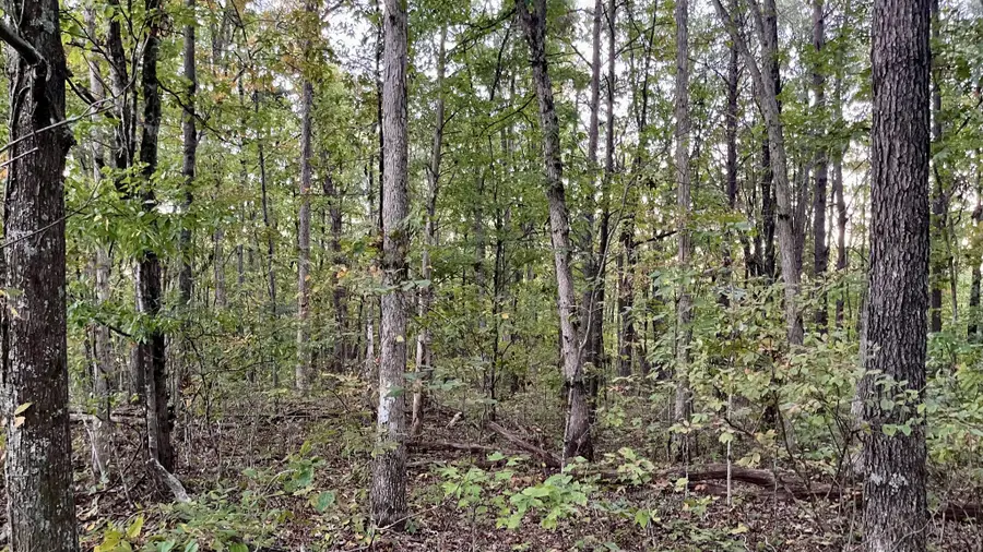 600 Running Deer Road, Crab Orchard, TN 37723 - #3