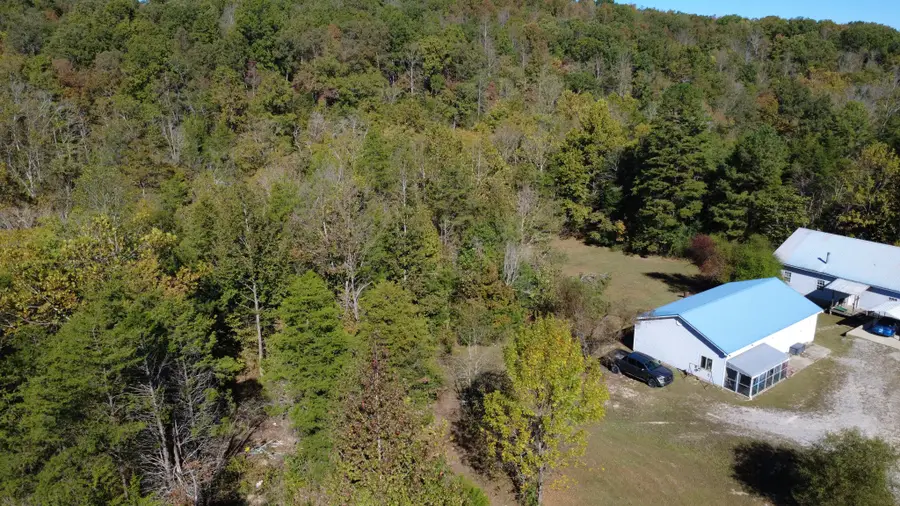 815 Mccord Hollow Rd, Hohenwald, TN 38462 - #3