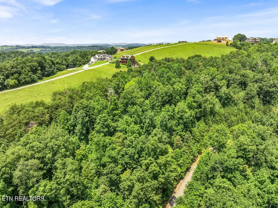 0 Silver Trl, New Tazewell, TN 37825 - #3