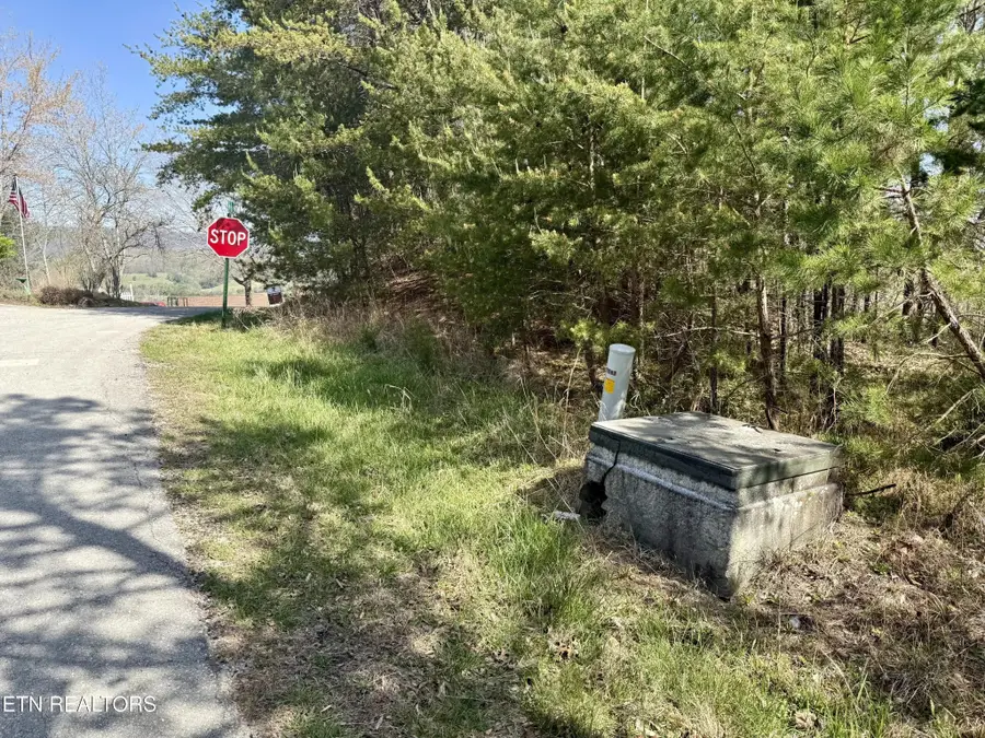 0 Eerie Point, Rockwood, TN 37854 - #2