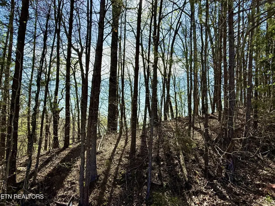 0 Eerie Point, Rockwood, TN 37854 - #3