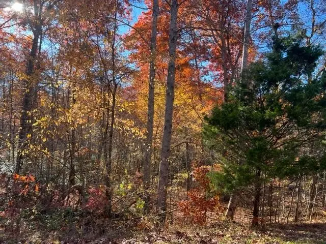 0 T Place, Monterey, TN 38574 - #3