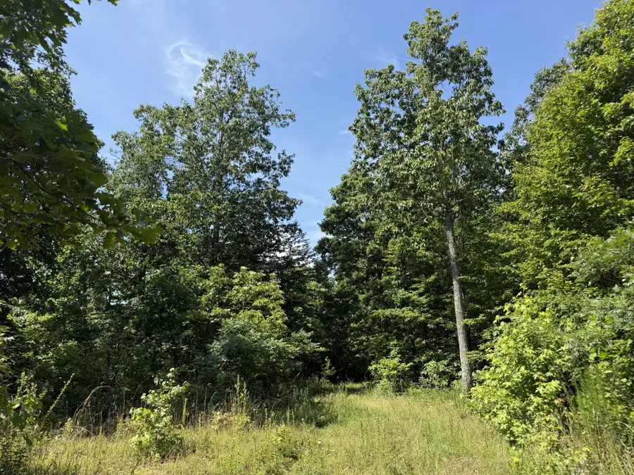 0D Black Bear Rd, Linden, TN 37096 - #3