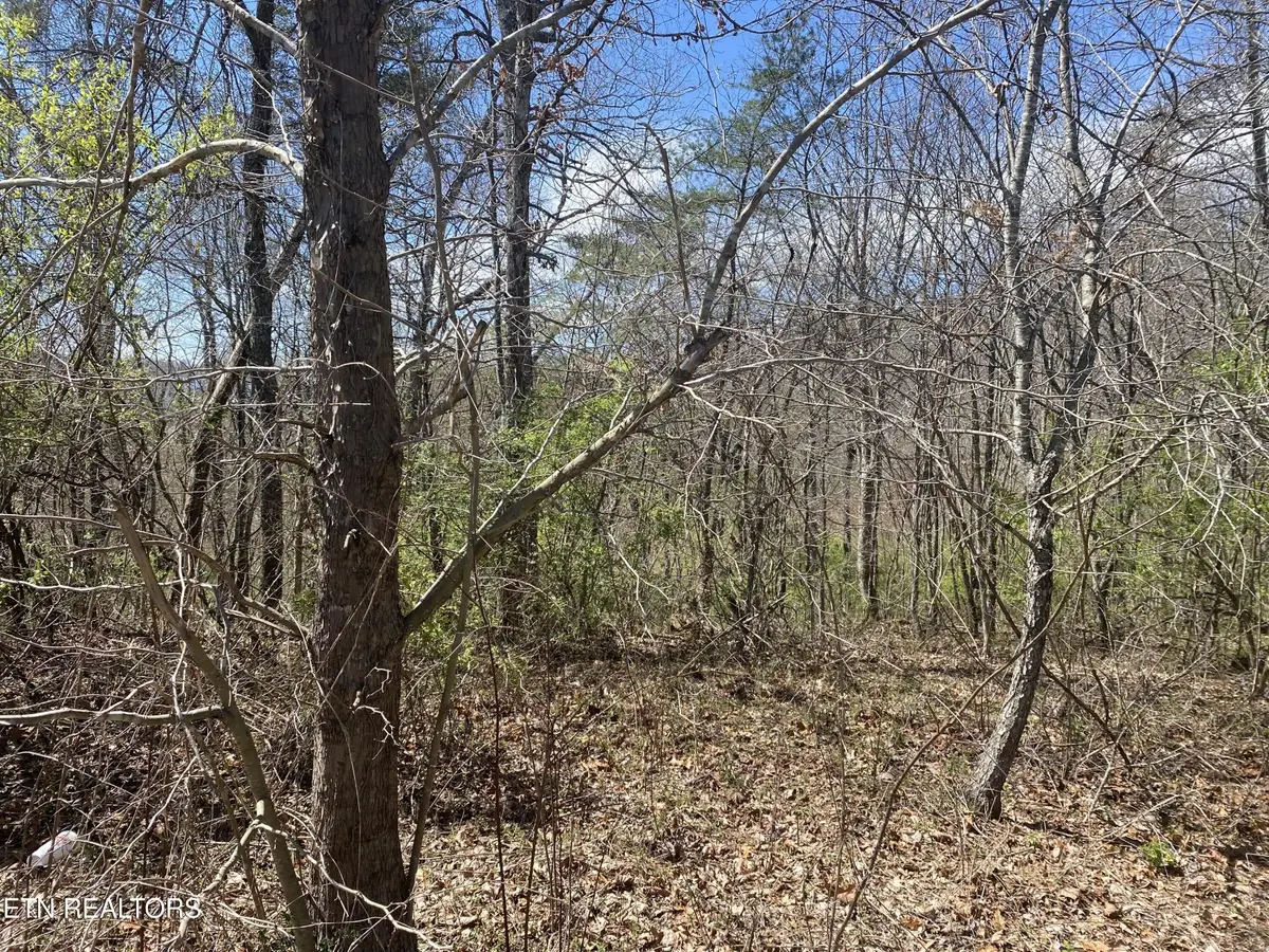 6 Hwy 127 North, Crossville, TN 38555 - #1