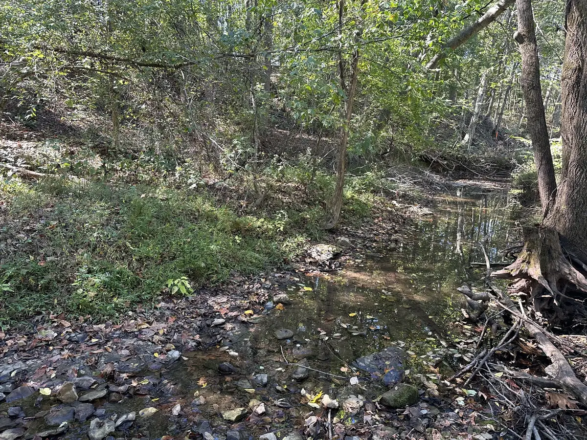 2542 W Mount Vernon Rd, Bethpage, TN 37022 - #1