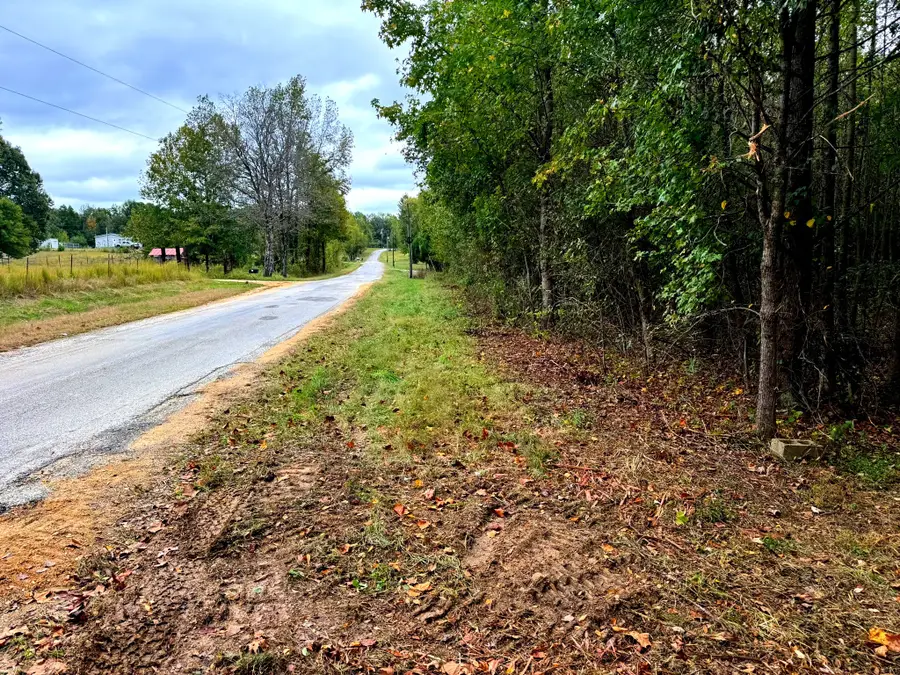 0 Cotton Grove Rd, Beech Bluff, TN 38313 - #2