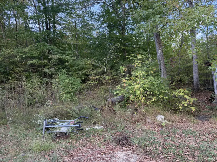 3466 Railroad Bed Rd, Iron City, TN 38463 - #3
