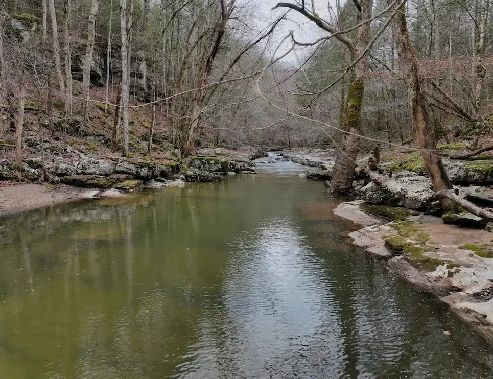 0 Hollow Creek Lane, Clarkrange, TN 38553 - #1